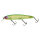 Lime Chart Tiger