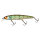 Magic Green Perch