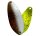 DDG11