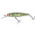 Magic Green Perch