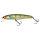 Magic Green Perch