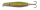 Kupfer Olive