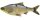 Savage Gear 3D LT Roach 32cm 445g Sinking