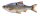 Savage Gear 3D LT Roach 32cm 445g Sinking