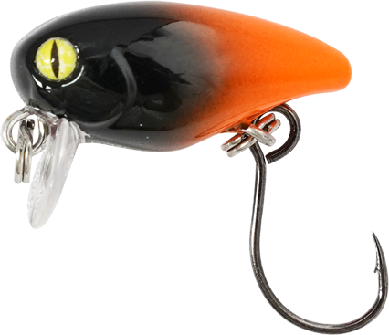 Orange Black