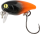 Orange Black
