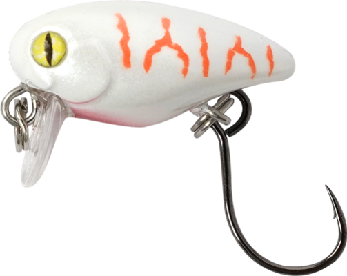 Albino