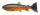 Pulz Bait trout Skinz Ersatzkörper für 15cm und 20cm