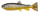 Pulz Bait trout Skinz Ersatzkörper für 15cm und 20cm