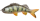 Pulz Bait Perch Skinz 15cm 2er Pack Ersatzkörper