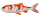 Koi Carp