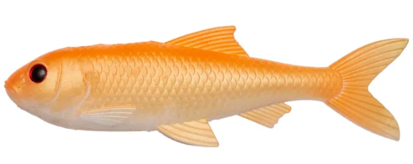 Gold Fish