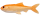 Gold Fish