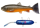 Pulz Bait Trout Kit Starter Set 15cm und 20cm 1 Stück inkl. Motor