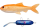 Pulz Bait Roach Kit Sarter Set 15cm und 20cm inkl. Motor