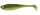 Green Pumpkin Chartreuse