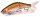 Gamakatsu Luxxe Laughin 300 Swimbait 32cm 250g
