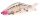 Gamakatsu Luxxe Laughin 300 Swimbait 32cm 250g