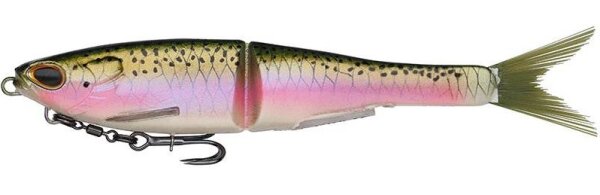 Rainbow Trout