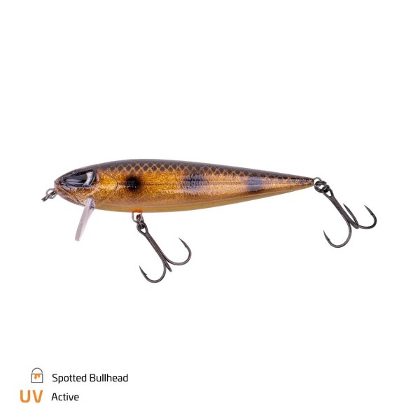Spotted Bullhead