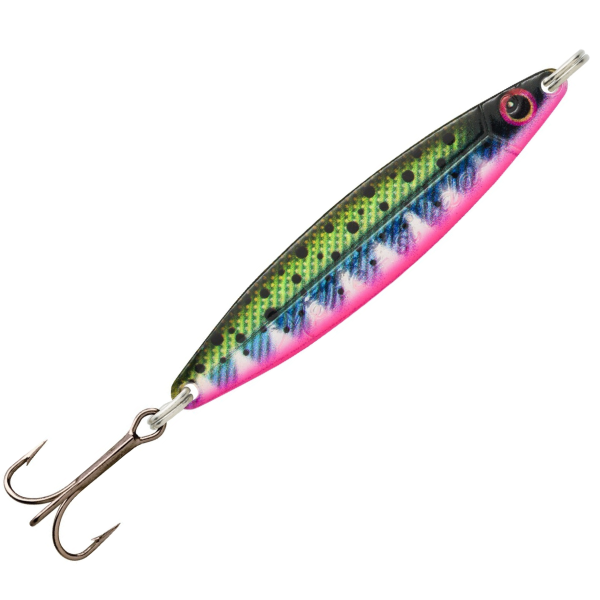 Rainbow Trout