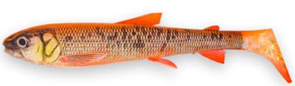 Albino