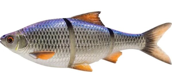 Blue Roach