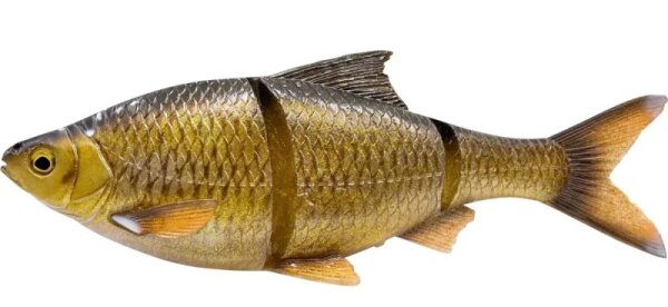Glitter Bream