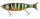 Pike