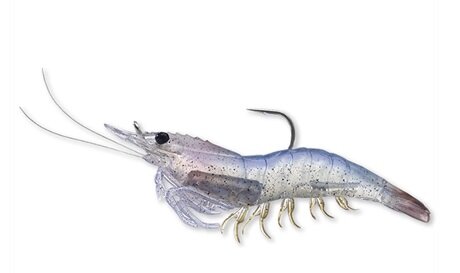 White Shrimp