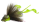 Chartreuse Brown