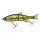 RT Yellow Perch