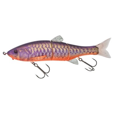 RT Purple Koi