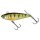 Perch