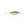 Glided Perch