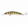 Ghost Perch