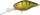 Perch
