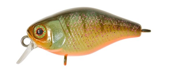 Aggressive Perch