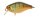 Aggressive Perch